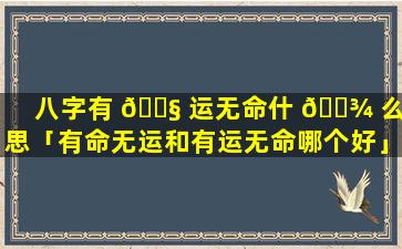 八字有 🐧 运无命什 🌾 么意思「有命无运和有运无命哪个好」